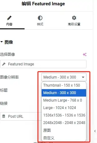 设置图片元素的图形尺寸