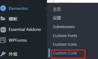 Elementor Pro Custom Code 功能